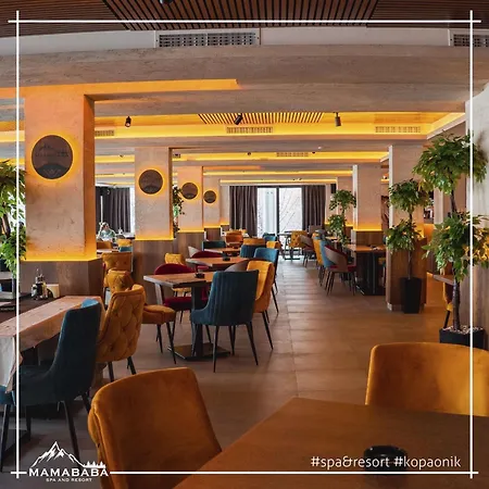 Pleasure Lux G999 Appartement Kopaonik