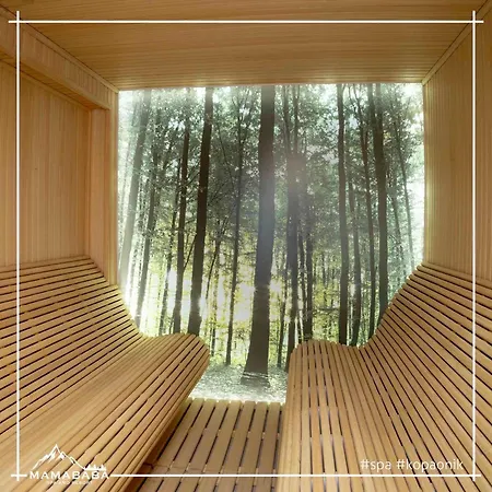 Appartement Pleasure Lux G999 Kopaonik